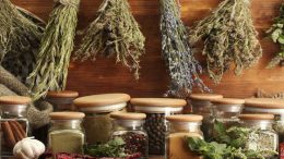 plantes-pour-maigrir