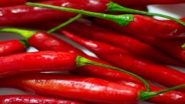 capsaicine