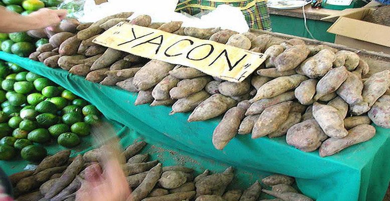 poire-de-terre-yacon